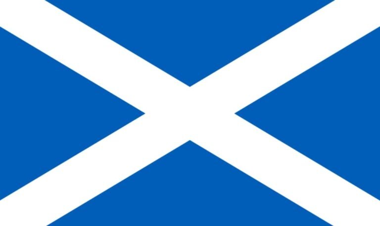 Buy Magic Mushrooms Scotland Online | Same Day Shipping