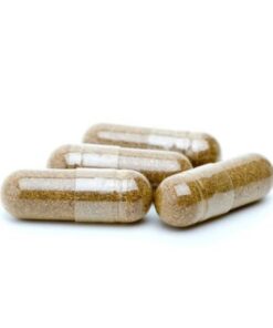 Buy Psilocybin Microdose Magic Mushroom Capsules for Sale Online in the UK and Europe