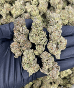 Buy London Jelly Strain UK: Unlock the Sweet, Potent, and Relaxing Experience You Deserve 🍬🌱