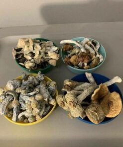 Psilocybin Mushrooms for Depression in the UK and Europe