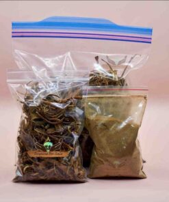 Where to Buy Iboga Root Bark in the UK and Europe