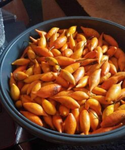 Buy Ibogaine HCL in the UK and Europe: A Complete Guide 🌍🌱