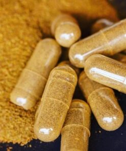 Where to Buy Microdose Ibogaine Capsules in the UK, Europe, and USA for Mental Clarity and Wellness