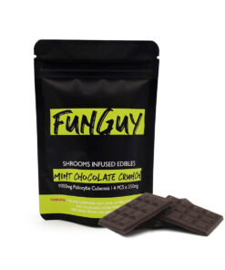 Buy FunGuy Mint Chocolate Crunch UK: Refreshingly Delicious and Satisfying