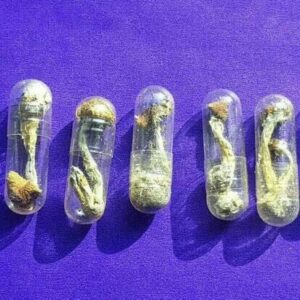 Psychedelics and anxiety: exploring the benefits and risks of psychedelic-assisted therapy