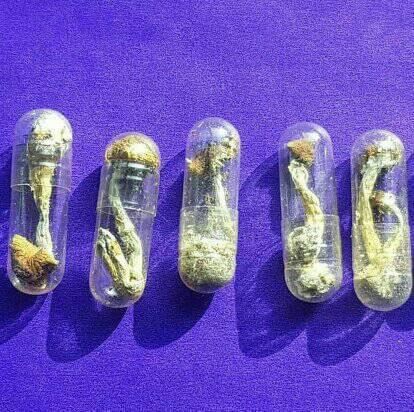 Psychedelics and anxiety: exploring the benefits and risks of psychedelic-assisted therapy