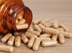 Mushroom Capsules 250mg | Microdose Mushrooms UK