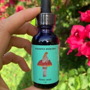 ChatGPT said: Buy Red Cap Mushroom Microdose 1 oz Online UK, Europe, and USA: Safe and Trusted Sources