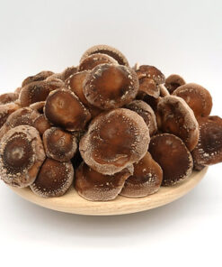 Buy Buy Shiitake Mushrooms UK