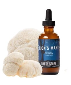 Organic Lion’s Mane Mushroom Tincture Extract – Liquid Focus Booster UK Europe USA