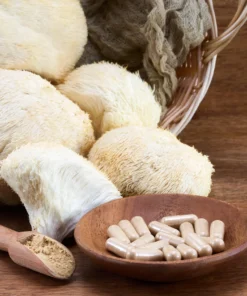 Where to Buy Lion’s Mane Mushroom in the UK: A Complete Guide for Cognitive Health Enthusiasts