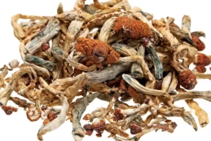 Same-day delivery of magic mushrooms in the UK, Ireland, and Europe – 2026 guide